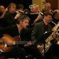 chris Standring with Bambino in band