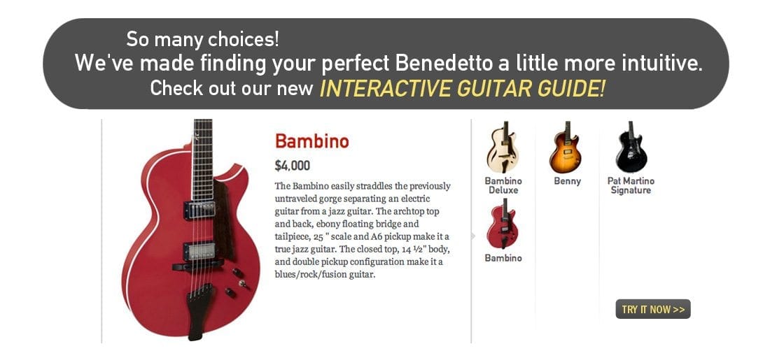 Guitar Guide