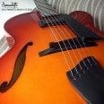 Chico Pinheiro Benedetto Bravo Elite S2012 closeup