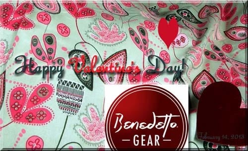 BG Gear Valentines Day 2013 Hearts and  Flowers