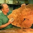 Bob Benedetto admires slab of maple burl 5-5-13