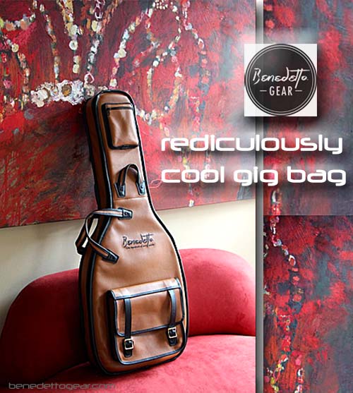 Rediculously cool gig bag BenedettoGear.com